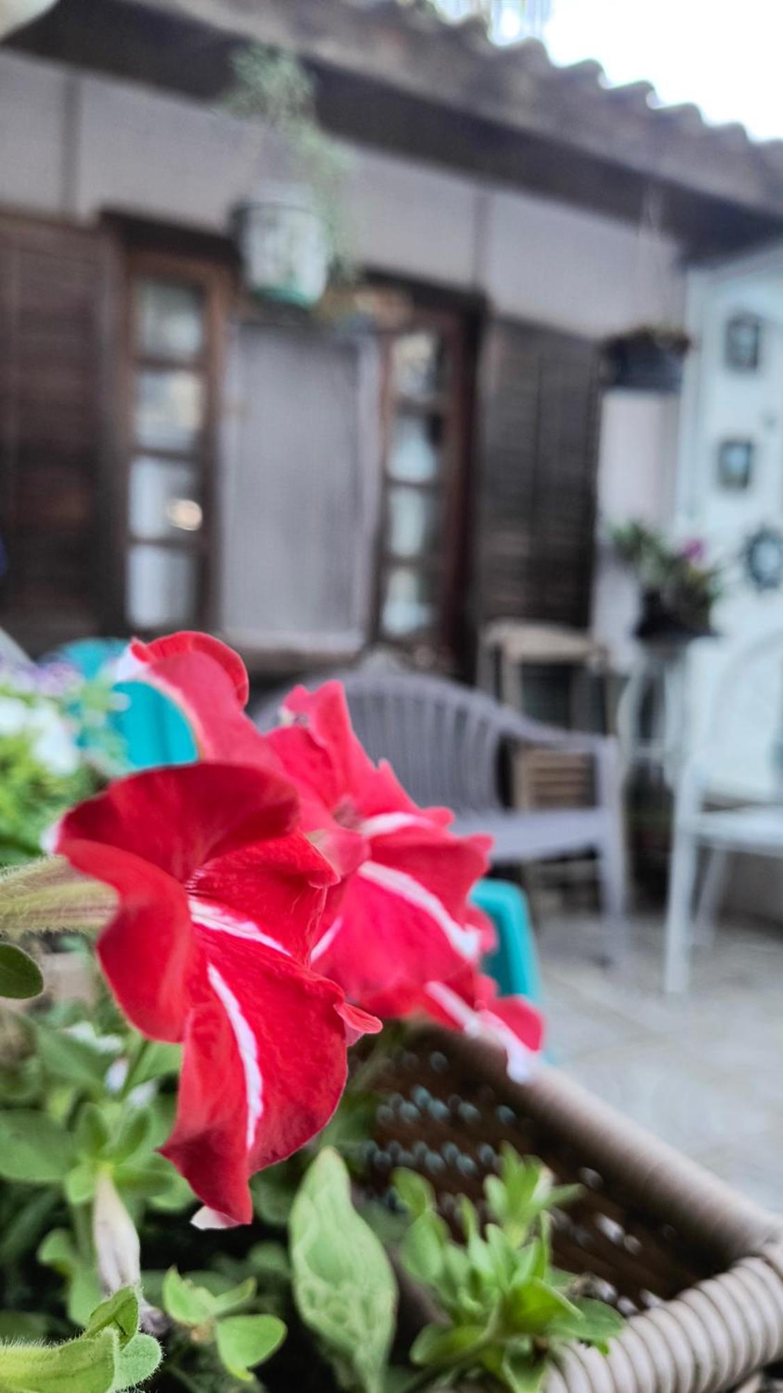 Cafe Country Homestay Petropolis (Rio de Janeiro)